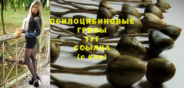 ALPHA PVP Покачи