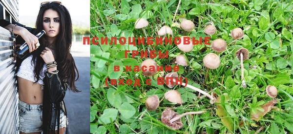 ALPHA PVP Покачи