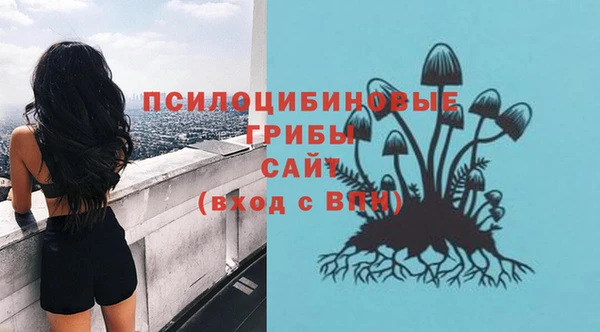 спайс Покровск