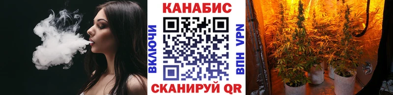 Бошки Шишки планчик Верхоянск
